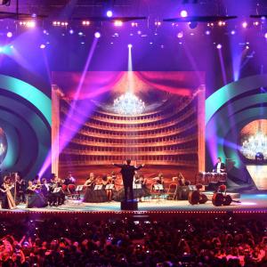 2011 Dans l'oeil des enfoirés