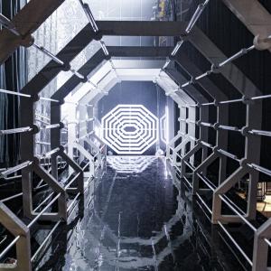 2023 Enfoirés un jour, toujours