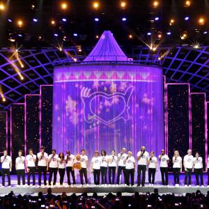 2017 Mission Enfoirés