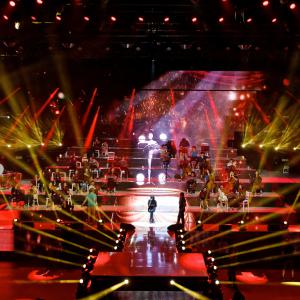 2017 Michel Berger, 25 ans déjà